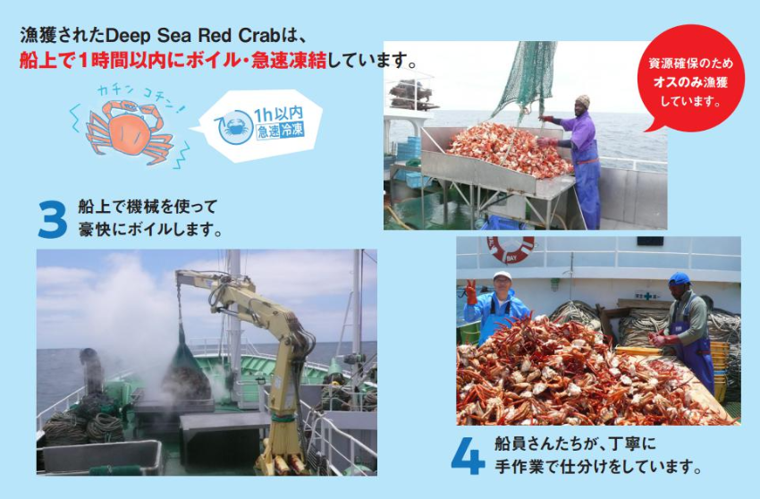 今後Deep Sea Red Crabをどのように広めていきたいか？